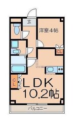 サンリヴィエールの物件間取画像